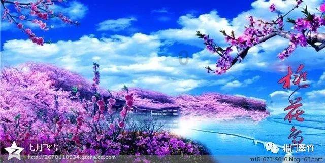 落水狗血战日